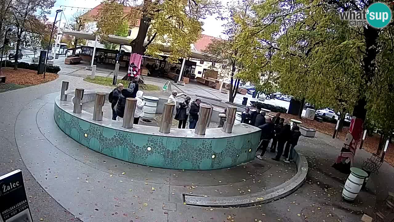 Camera en vivo Fuente de cerveza – Oro verde – Žalec