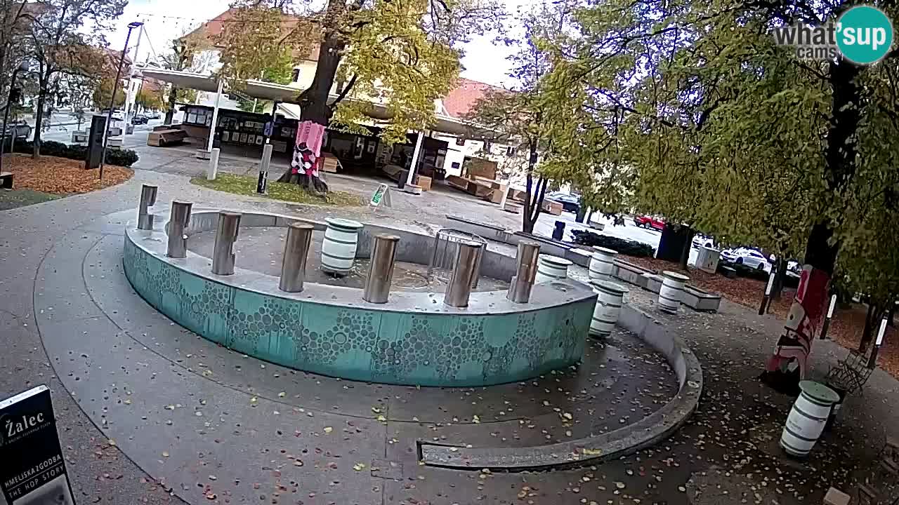 Fontana di birra Webcam – Oro verde – Žalec