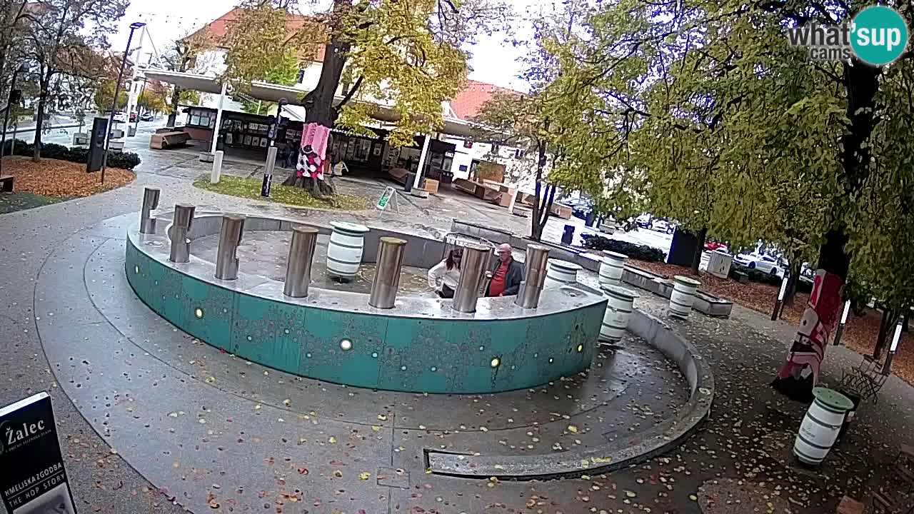 Spletna kamera Fontana Piv – Zeleno zlato Žalec