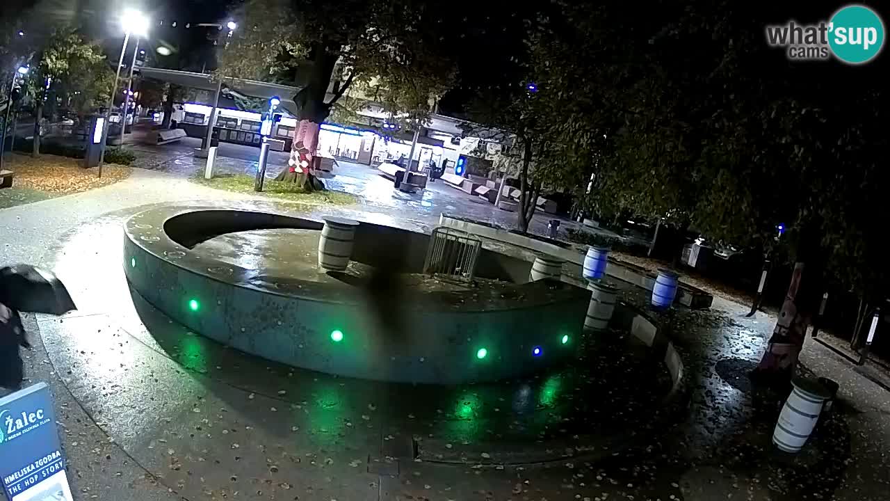 Fontana di birra Webcam – Oro verde – Žalec