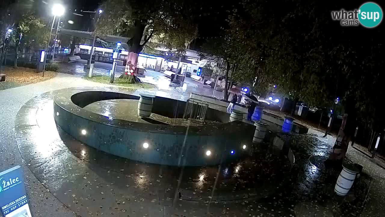 Spletna kamera Fontana Piv – Zeleno zlato Žalec