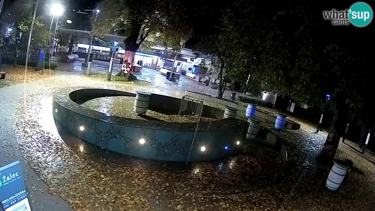 Camera en vivo Fuente de cerveza – Oro verde – Žalec