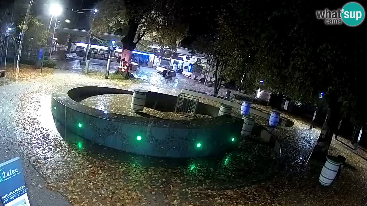 Fontana di birra Webcam – Oro verde – Žalec
