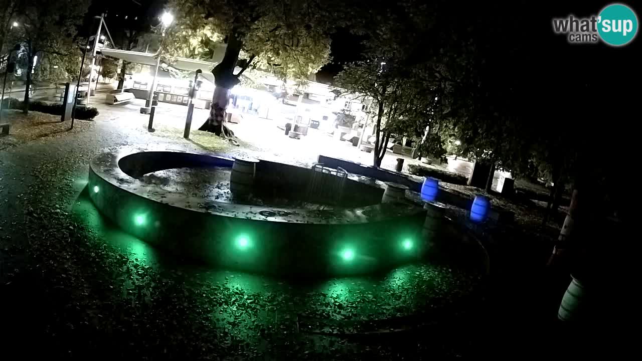 Camera en vivo Fuente de cerveza – Oro verde – Žalec