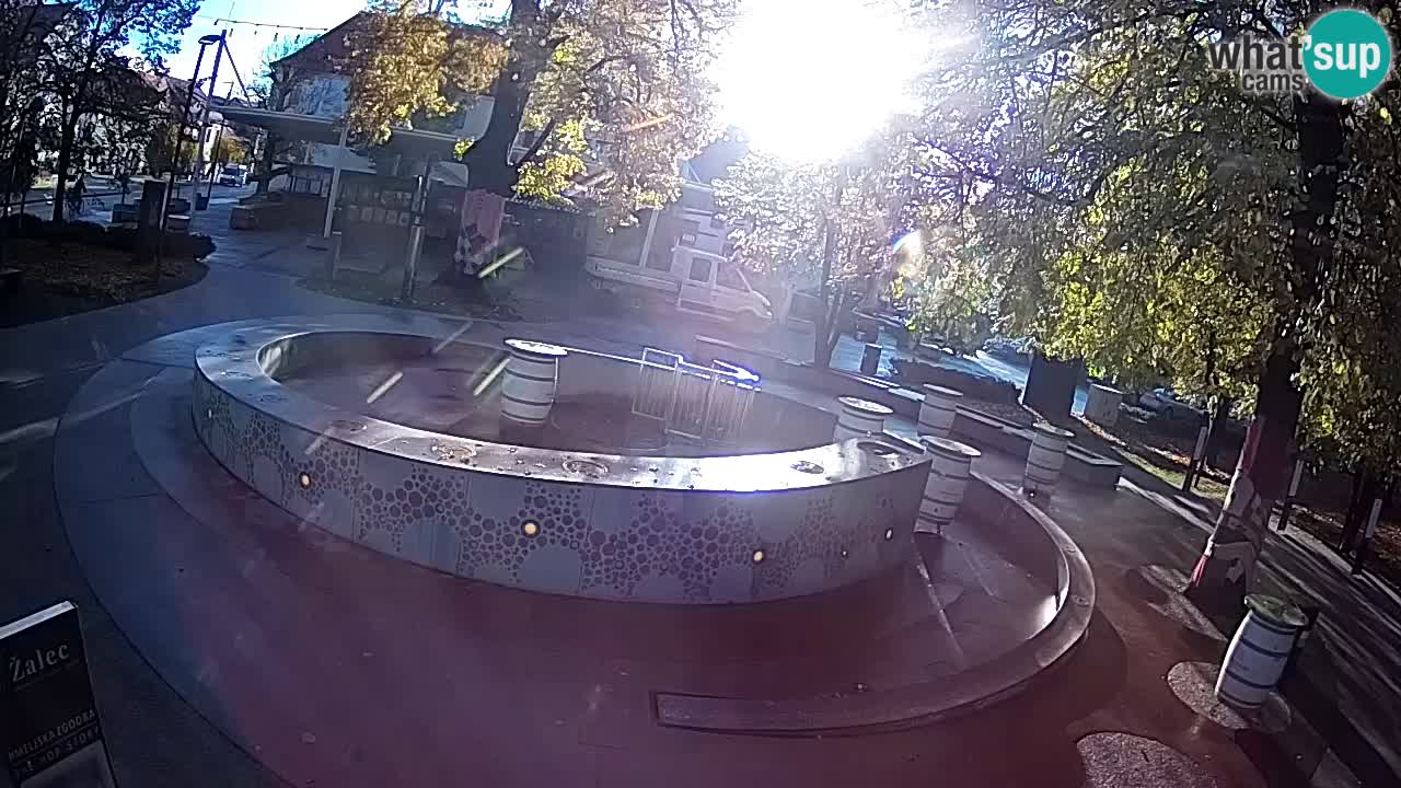 Bier-Springbrunnen Webcam Žalec – Grünen Goldes