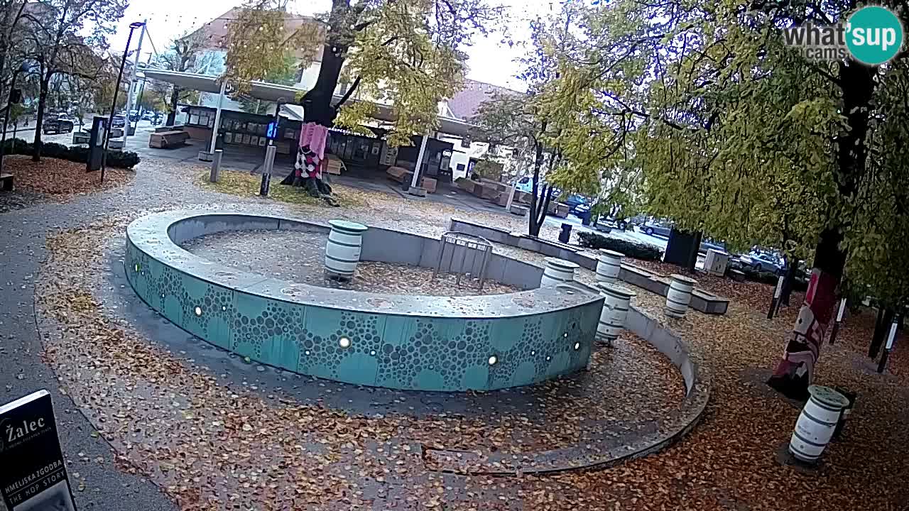 Fontaine à bière LIVE webcam – Or vert – Žalec