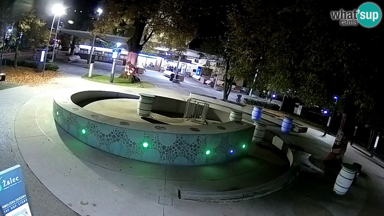 Fontaine à bière LIVE webcam – Or vert – Žalec