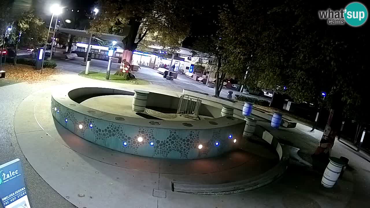 Bier-Springbrunnen Webcam Žalec – Grünen Goldes