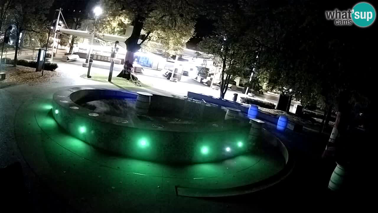 Camera en vivo Fuente de cerveza – Oro verde – Žalec