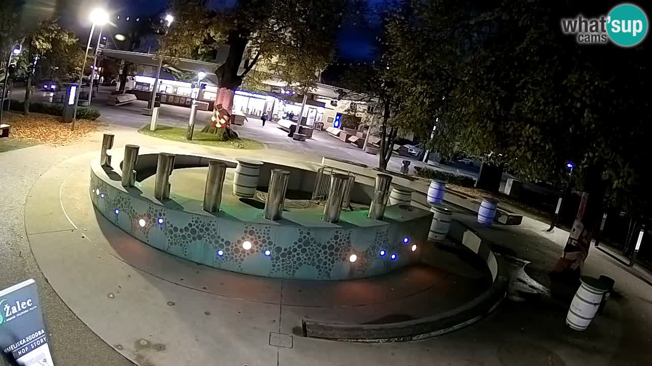 Bier-Springbrunnen Webcam Žalec – Grünen Goldes