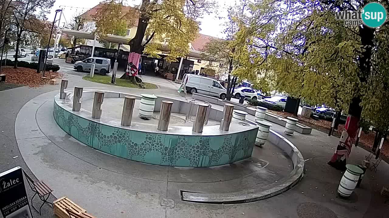 Fontana di birra Webcam – Oro verde – Žalec