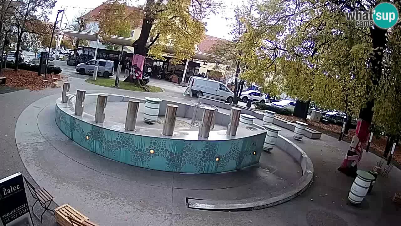 Camera en vivo Fuente de cerveza – Oro verde – Žalec