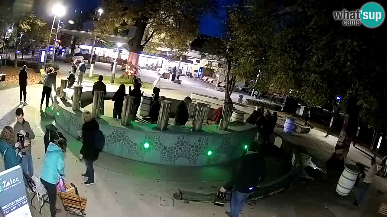 Camera en vivo Fuente de cerveza – Oro verde – Žalec