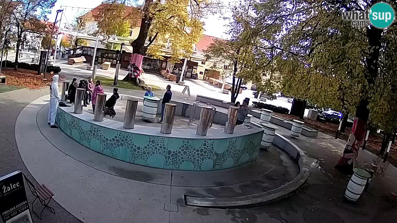 Fontana di birra Webcam – Oro verde – Žalec