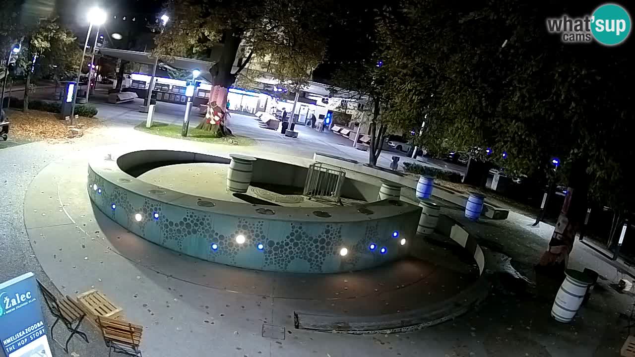 Camera en vivo Fuente de cerveza – Oro verde – Žalec