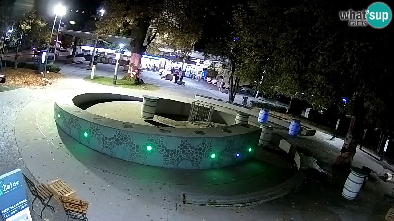 Camera en vivo Fuente de cerveza – Oro verde – Žalec