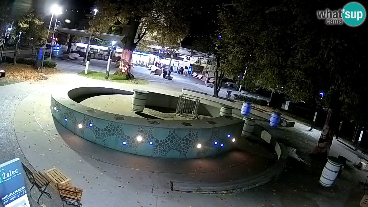 Spletna kamera Fontana Piv – Zeleno zlato Žalec