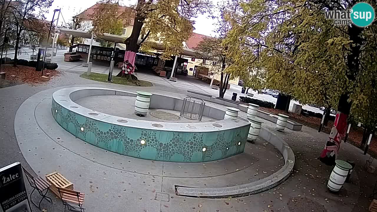 Bier-Springbrunnen Webcam Žalec – Grünen Goldes