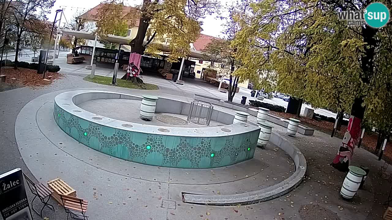 Spletna kamera Fontana Piv – Zeleno zlato Žalec