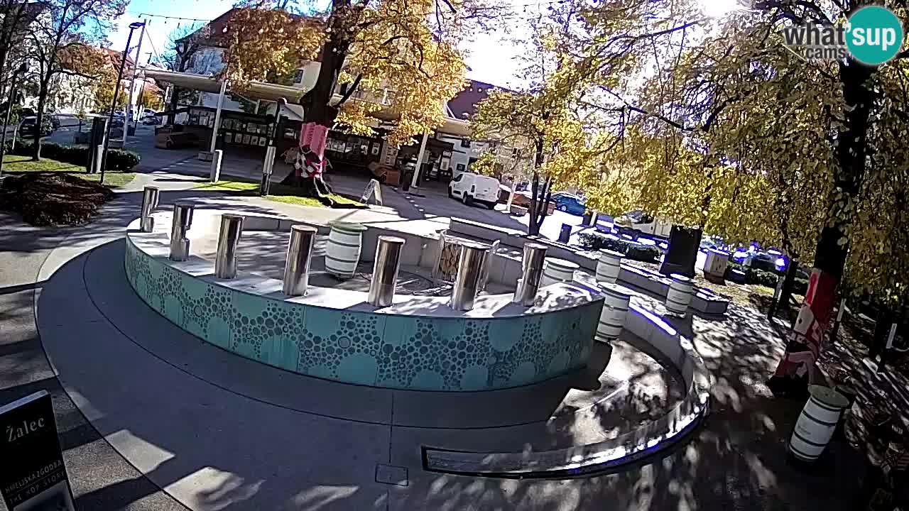 Bier-Springbrunnen Webcam Žalec – Grünen Goldes