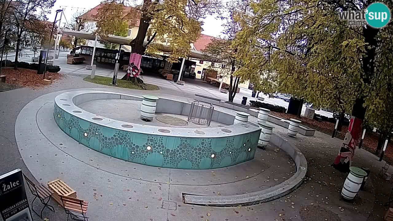 Spletna kamera Fontana Piv – Zeleno zlato Žalec