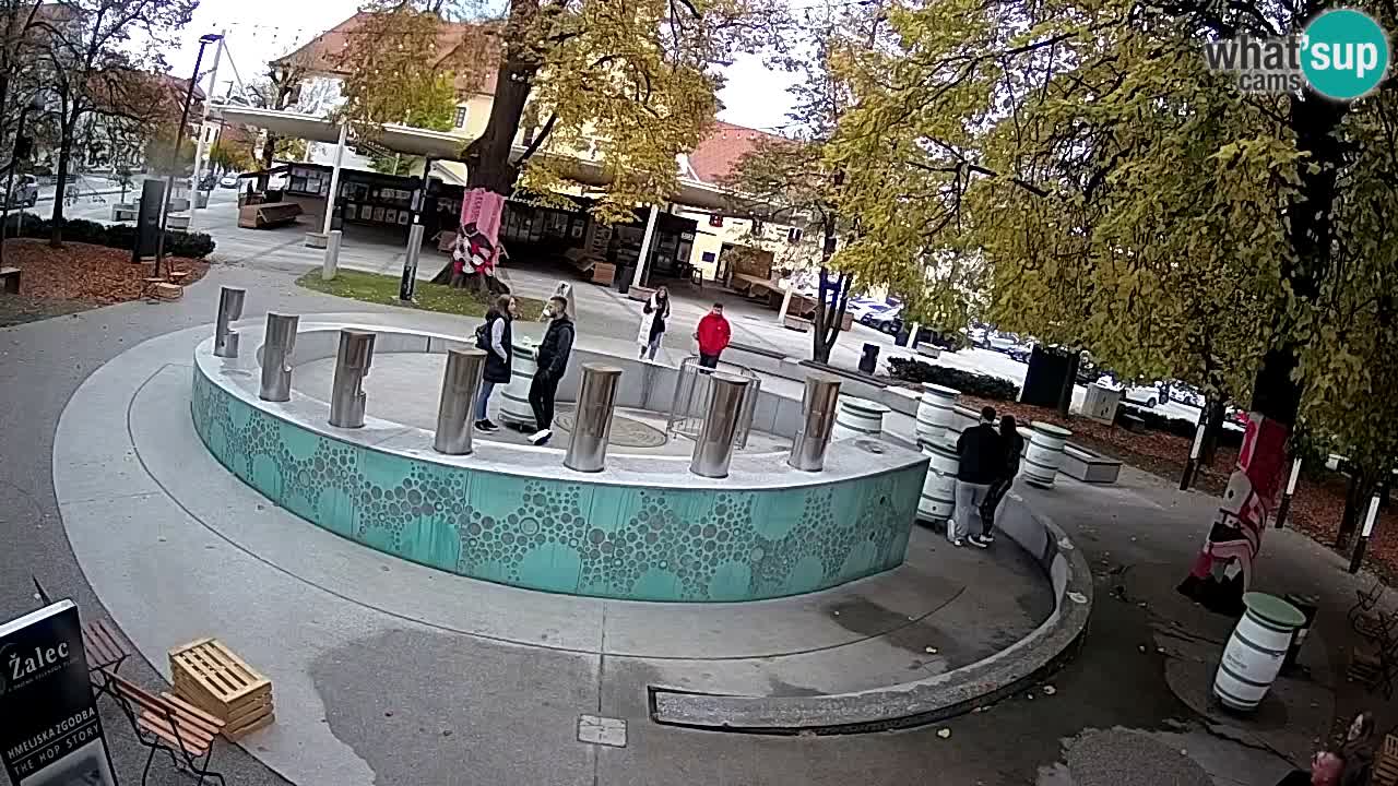 Spletna kamera Fontana Piv – Zeleno zlato Žalec