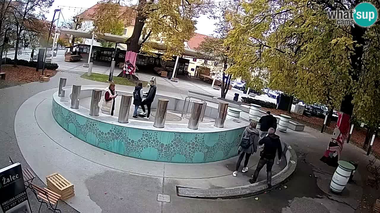 Spletna kamera Fontana Piv – Zeleno zlato Žalec