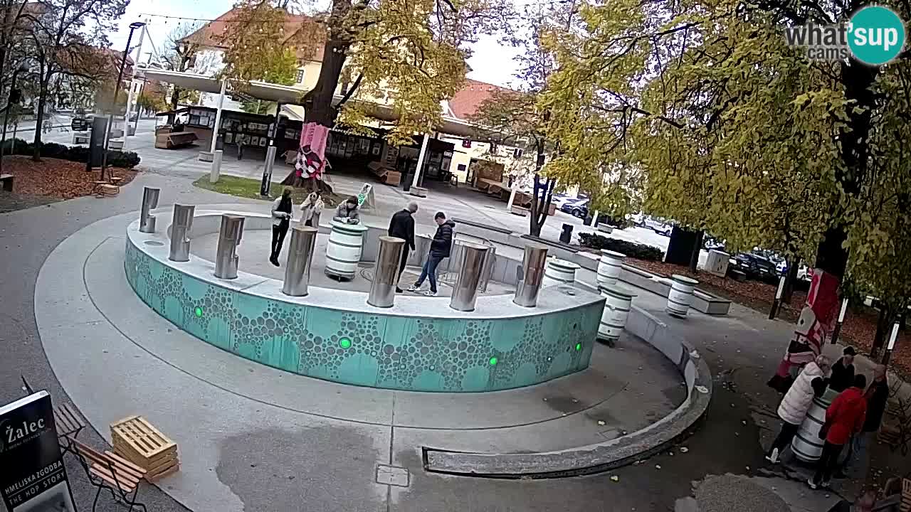 Web kamera Fontana piva – Zeleno zlato – Žalec