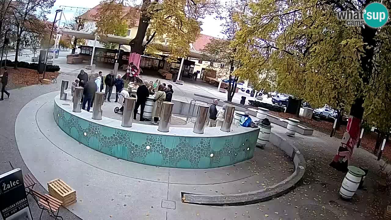 Web kamera Fontana piva – Zeleno zlato – Žalec