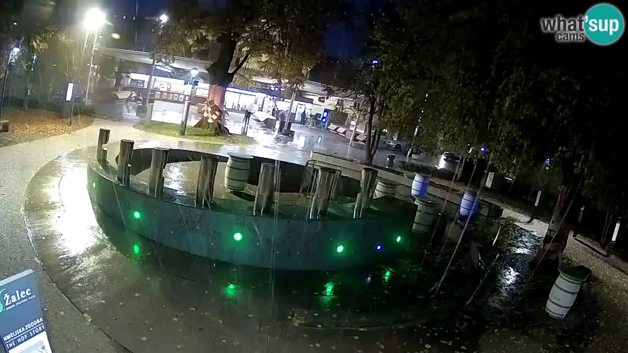 Camera en vivo Fuente de cerveza – Oro verde – Žalec
