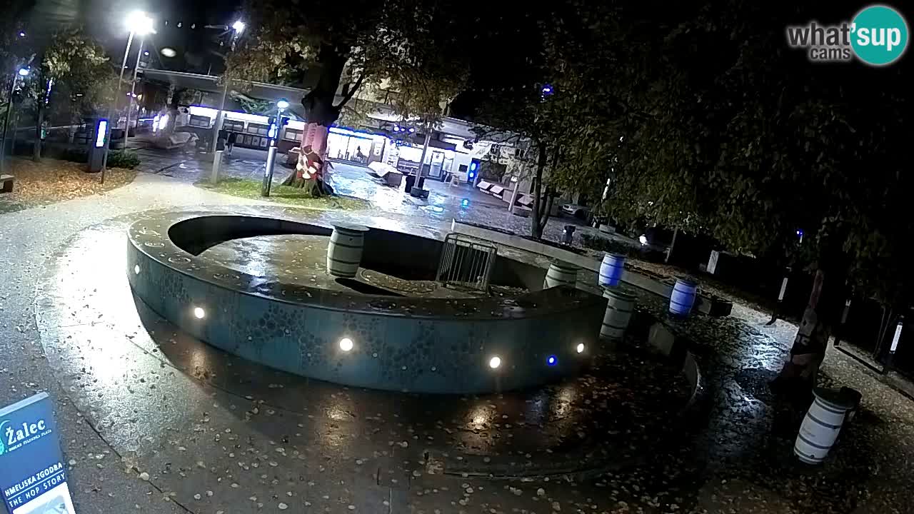 Fontana di birra Webcam – Oro verde – Žalec