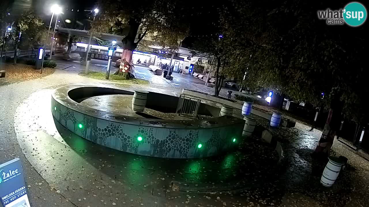 Fontaine à bière LIVE webcam – Or vert – Žalec