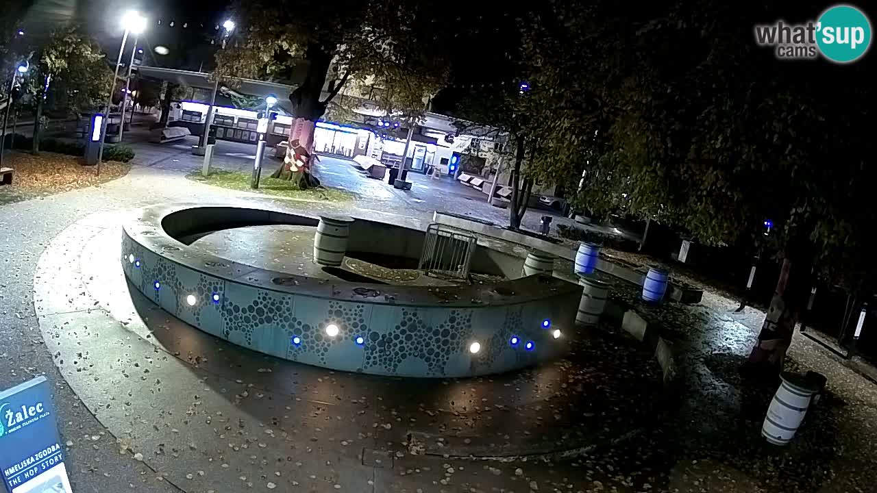 Camera en vivo Fuente de cerveza – Oro verde – Žalec