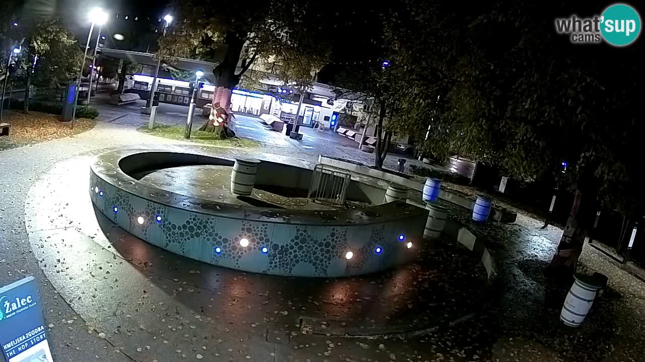 Fontaine à bière LIVE webcam – Or vert – Žalec