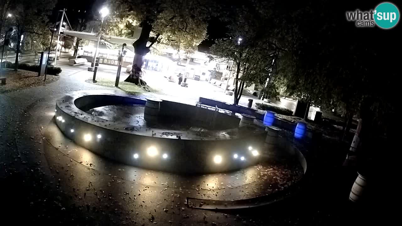 Camera en vivo Fuente de cerveza – Oro verde – Žalec