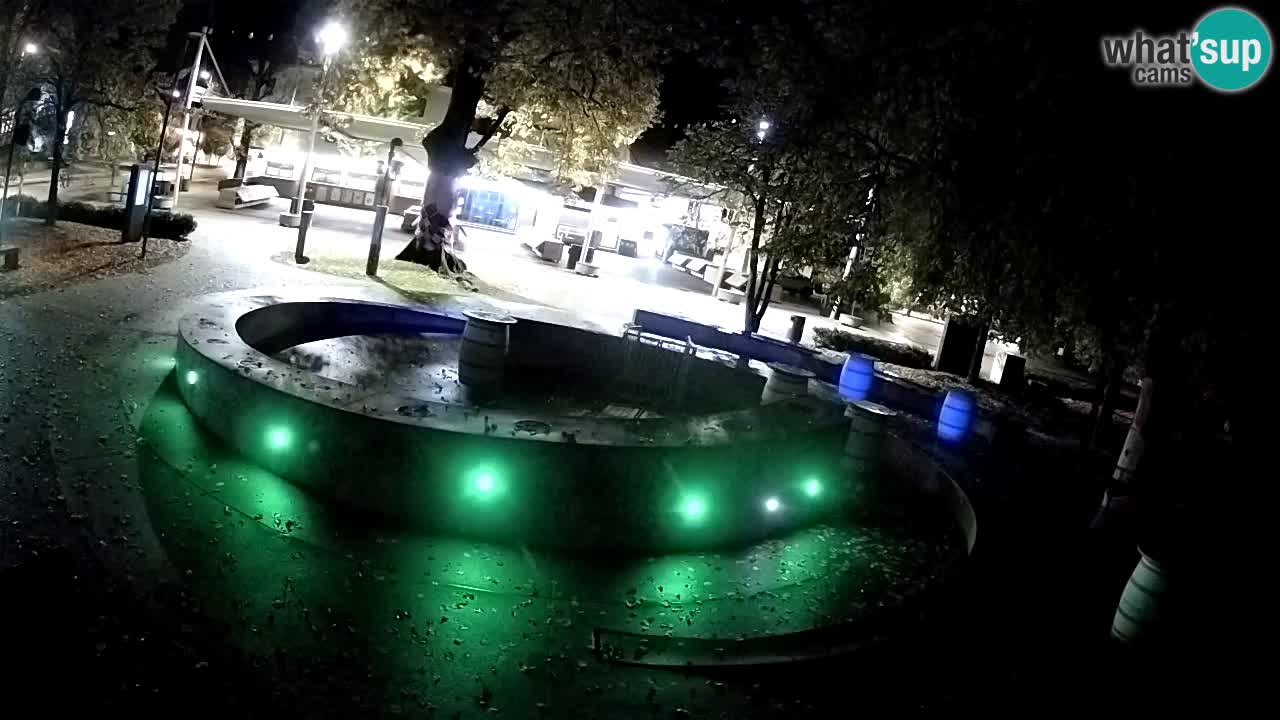 Camera en vivo Fuente de cerveza – Oro verde – Žalec