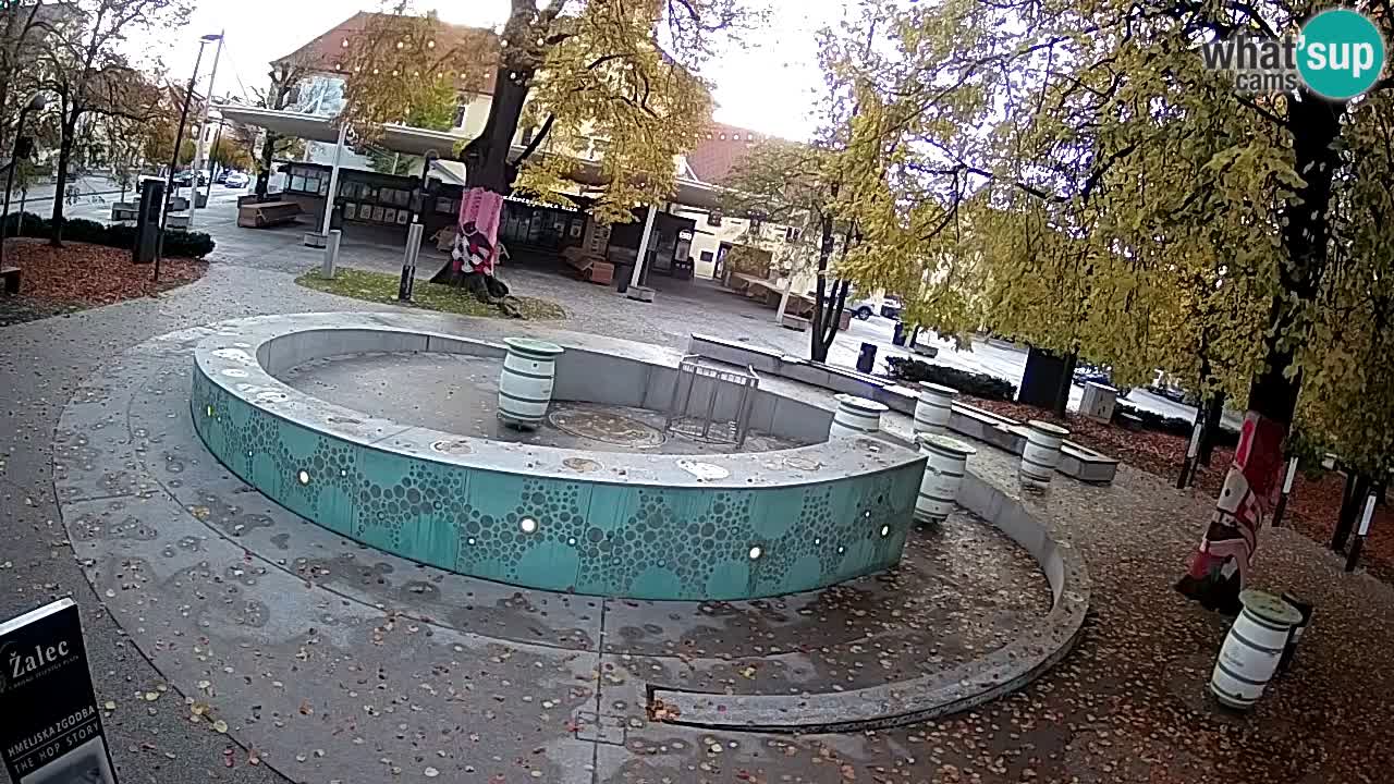 Fontana di birra Webcam – Oro verde – Žalec