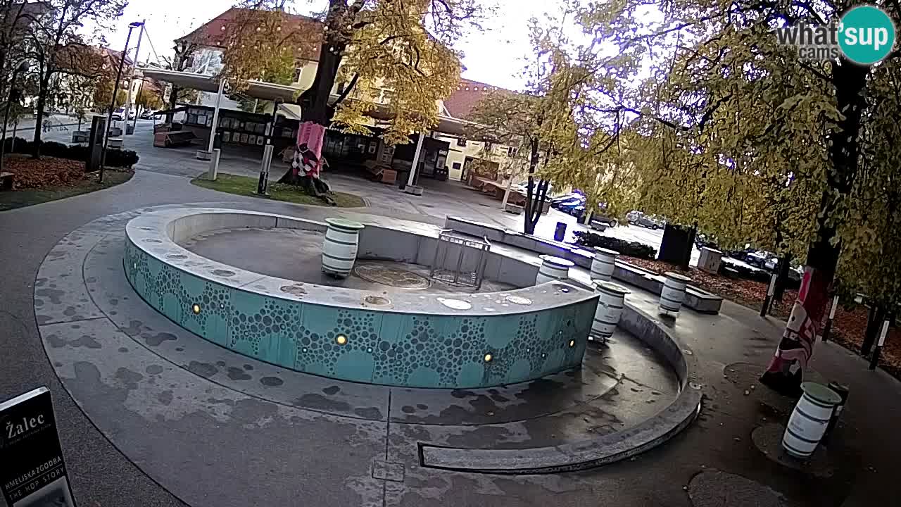 Web kamera Fontana piva – Zeleno zlato – Žalec
