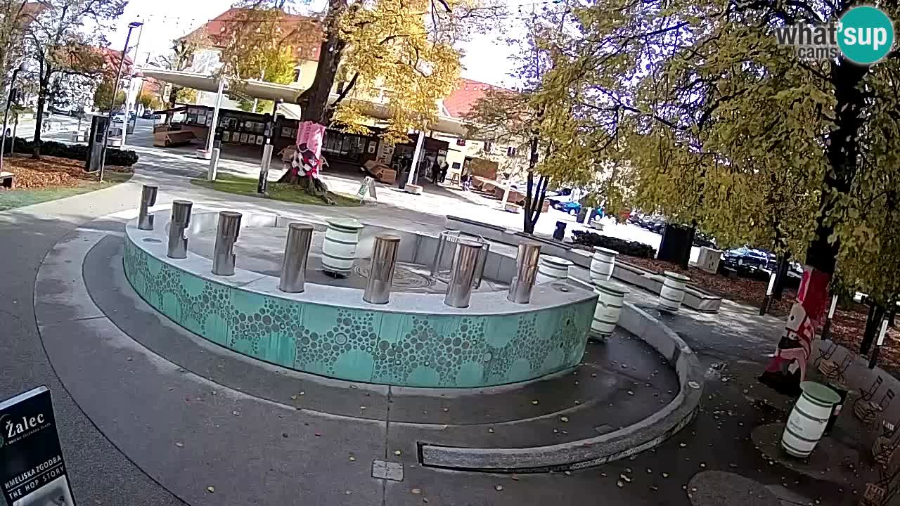 Bier-Springbrunnen Webcam Žalec – Grünen Goldes