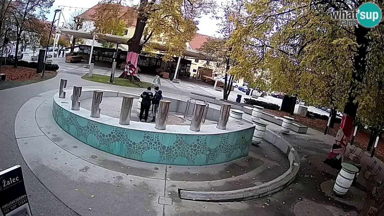 Spletna kamera Fontana Piv – Zeleno zlato Žalec