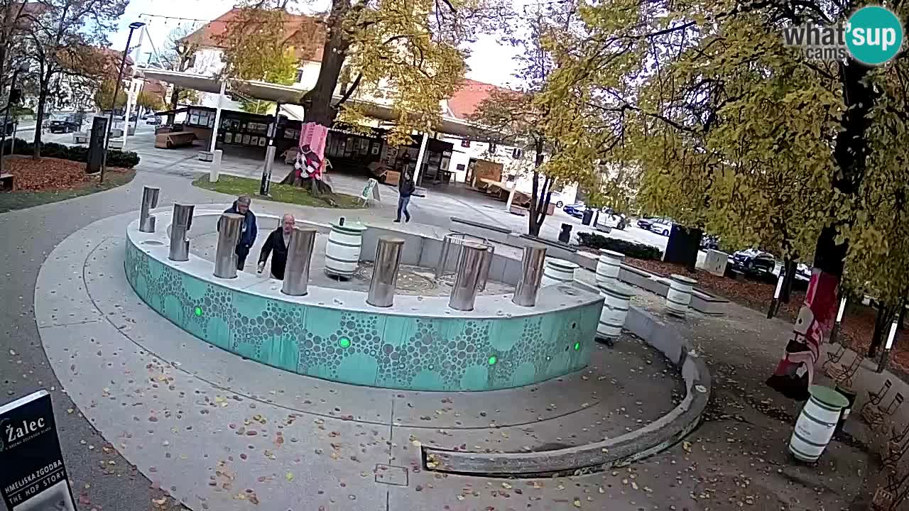 LIVEcam Beer fountain – Green Gold – Žalec – Slovenia