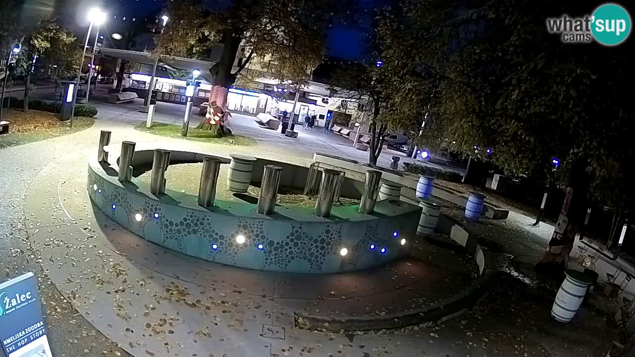 LIVEcam Beer fountain – Green Gold – Žalec – Slovenia