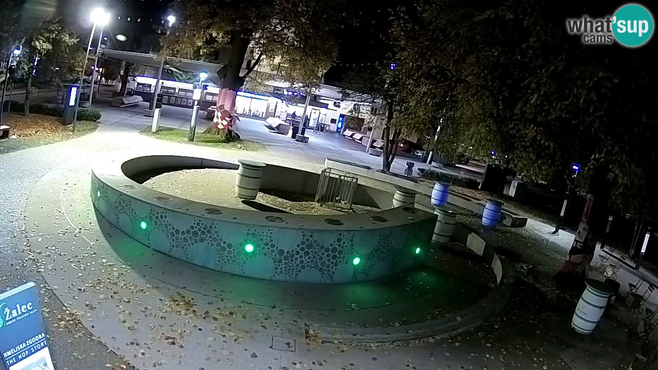 Camera en vivo Fuente de cerveza – Oro verde – Žalec