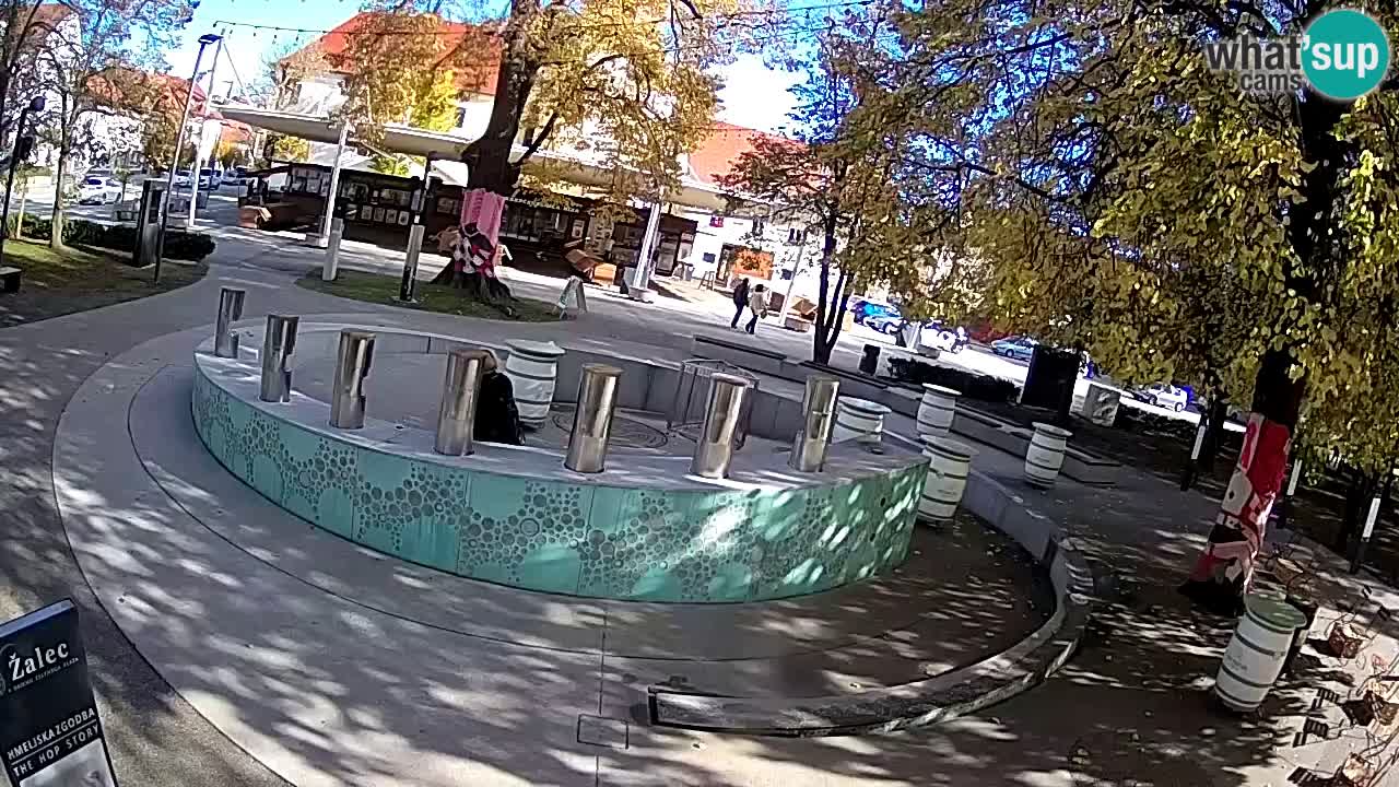 Fontaine à bière LIVE webcam – Or vert – Žalec