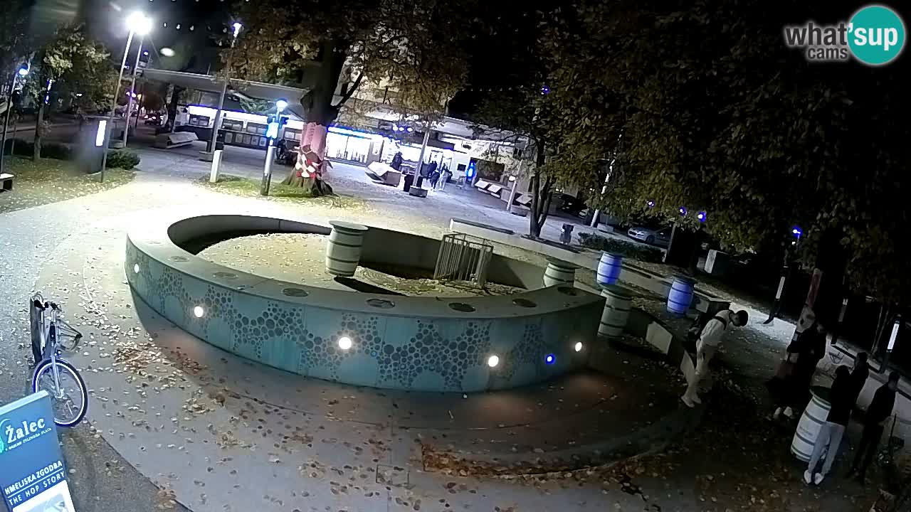 Fontaine à bière LIVE webcam – Or vert – Žalec