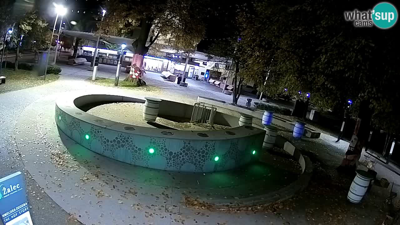 Fontaine à bière LIVE webcam – Or vert – Žalec