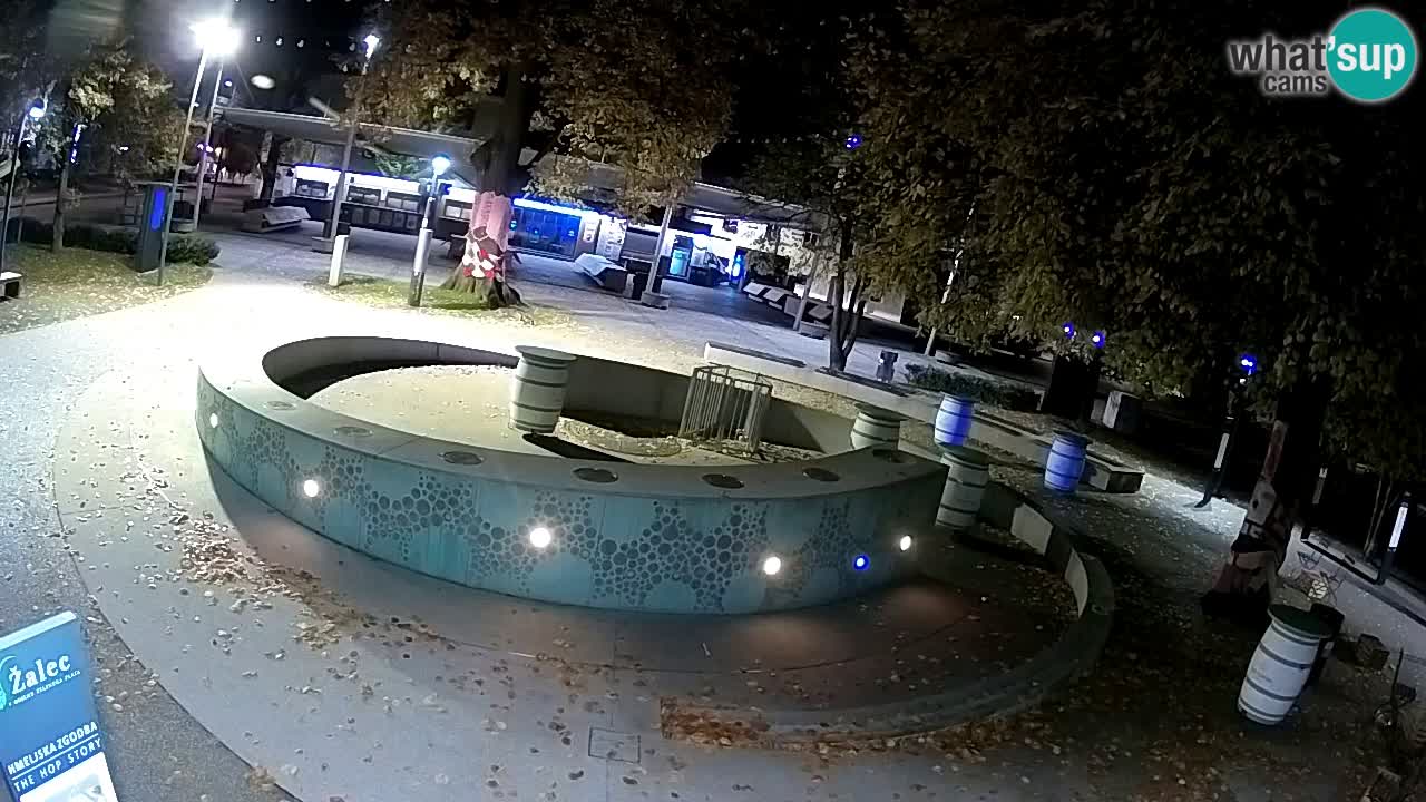 Web kamera Fontana piva – Zeleno zlato – Žalec