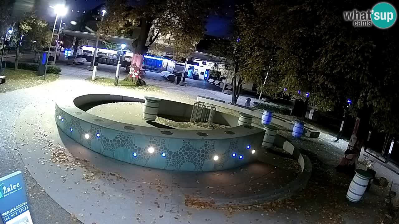 Web kamera Fontana piva – Zeleno zlato – Žalec