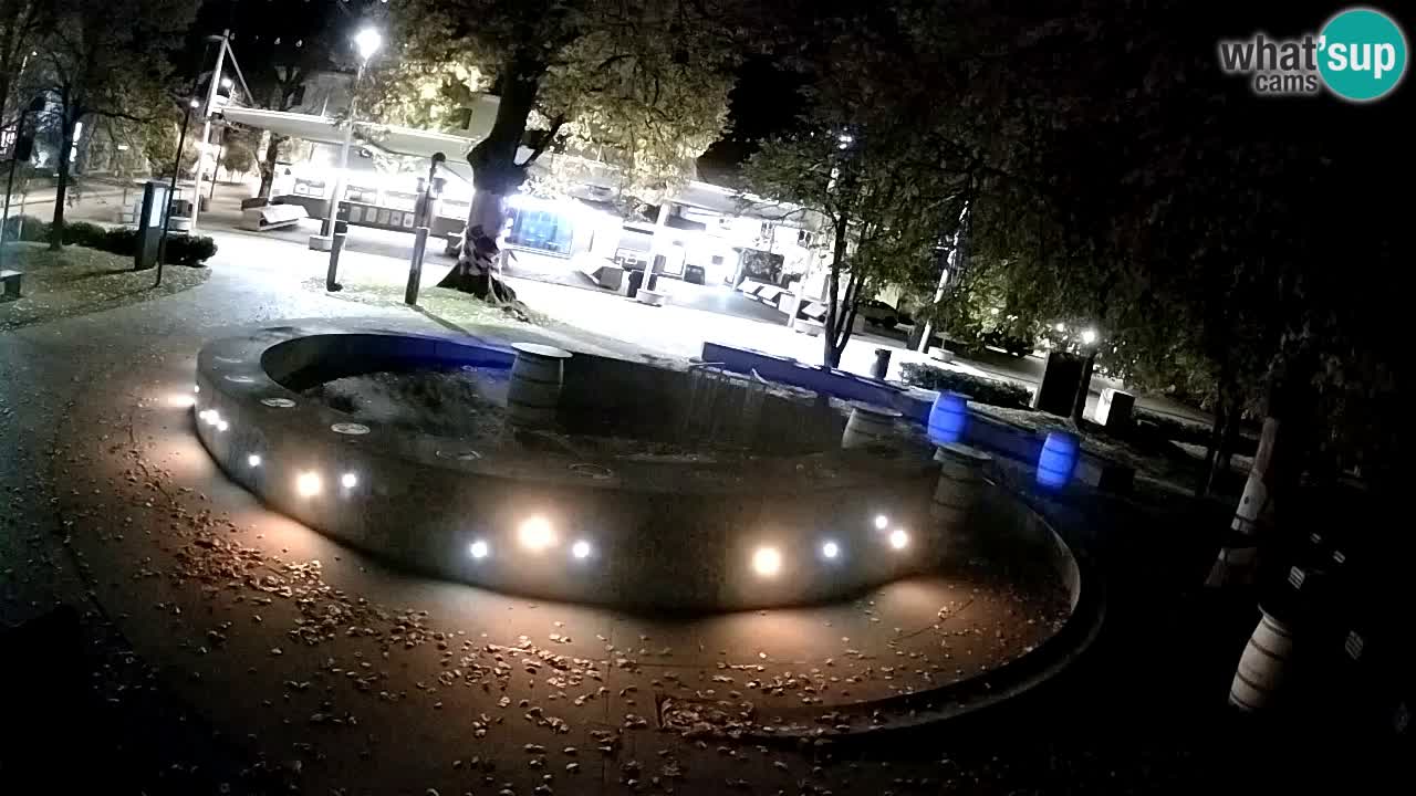 Fontaine à bière LIVE webcam – Or vert – Žalec