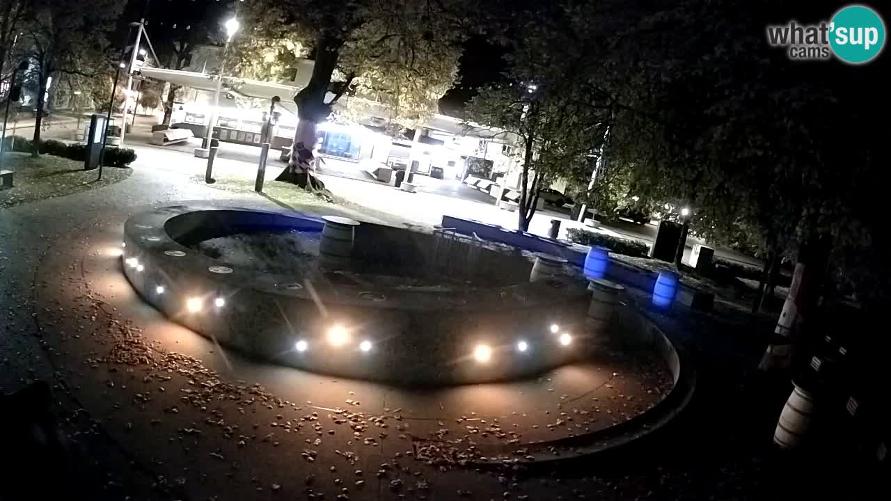 Bier-Springbrunnen Webcam Žalec – Grünen Goldes